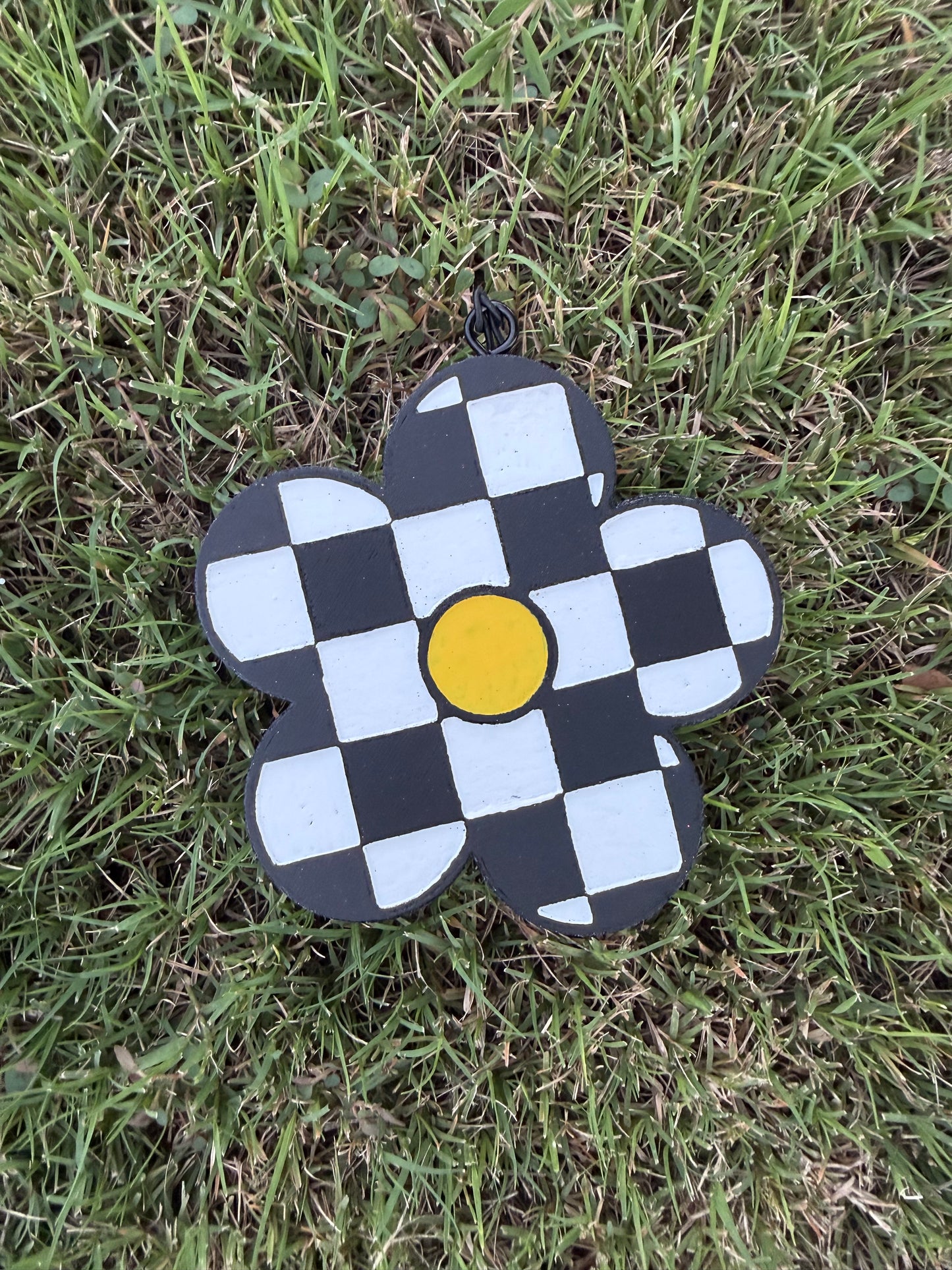 Checkered Daisy