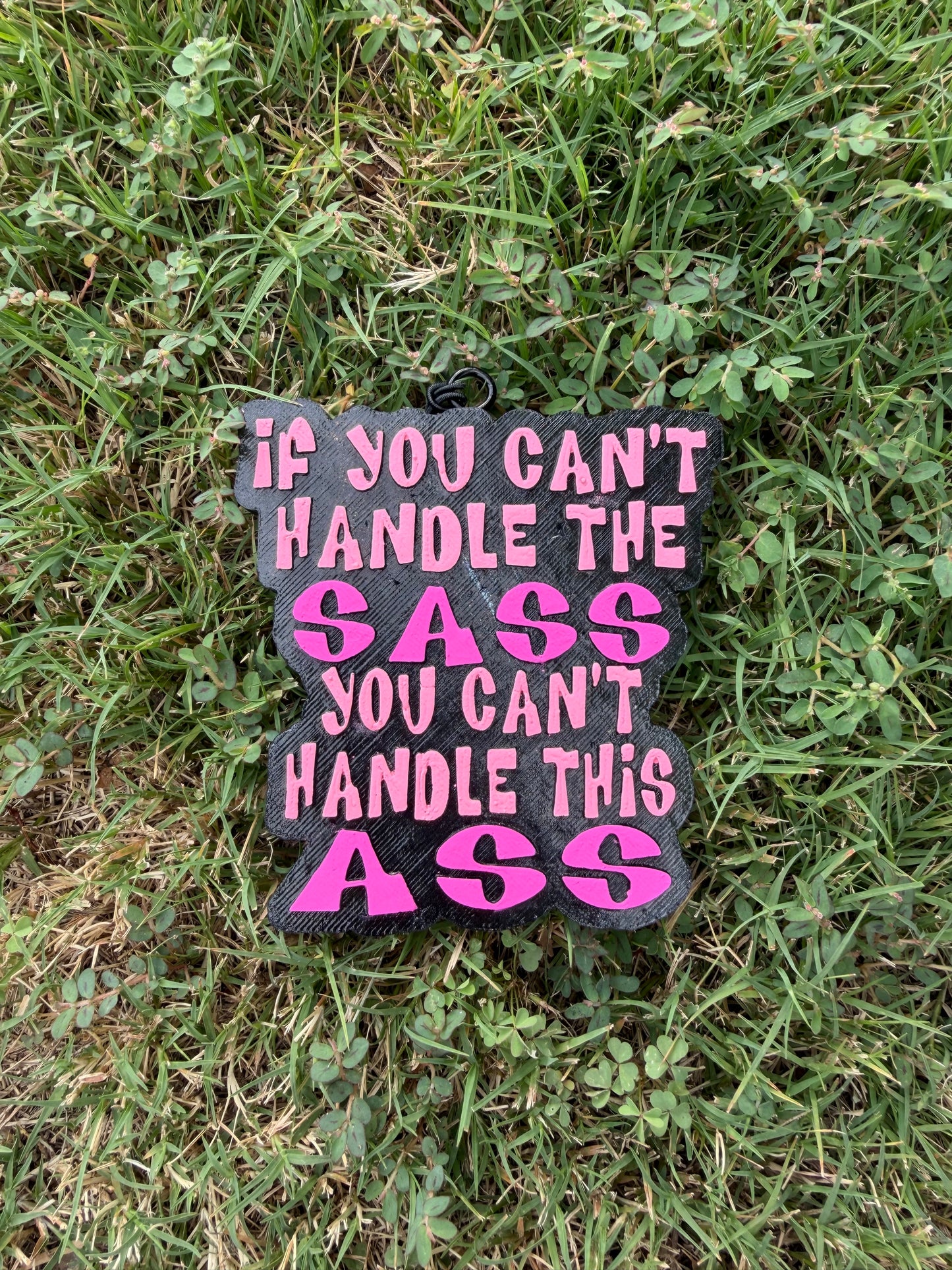 If You Can’t Handle The Sass